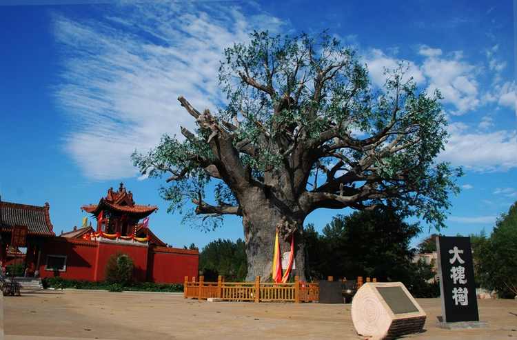 A scenic view of Linfen Xiaolicun Taiyue Government Site