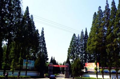 A scenic view of Linfen Xiaolicun Taiyue Government Site
