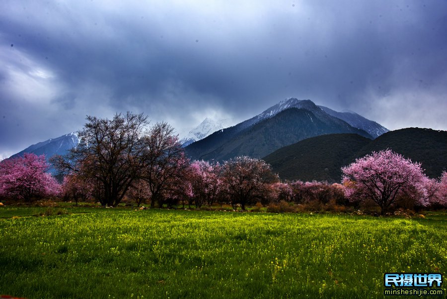 A scenic view of Linzhi Lieshan Mudi