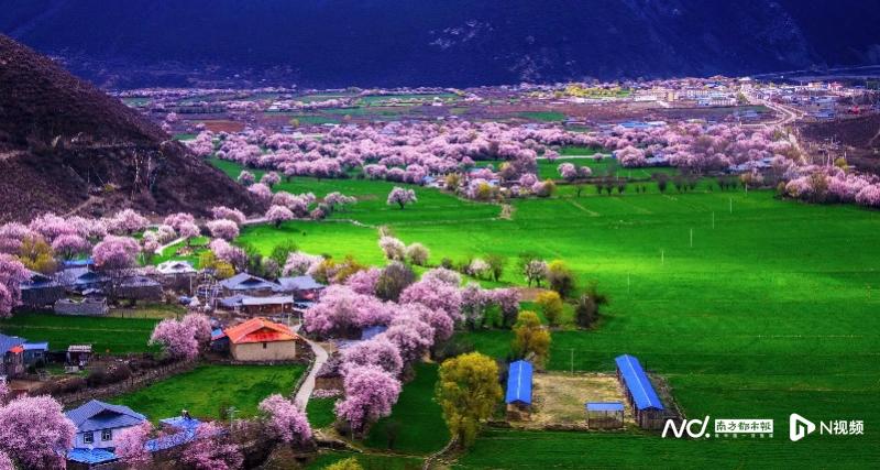 A scenic view of Linzhi Zhamu Zhongxin Xianwei Honglou