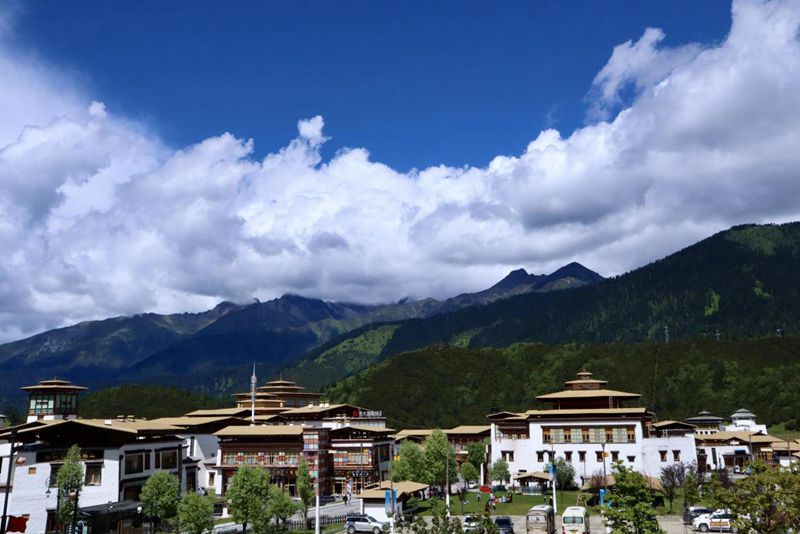 A scenic view of Linzhi Zhamu Zhongxin Xianwei Honglou