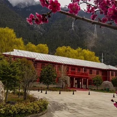 A scenic view of Linzhi Zhamu Zhongxin Xianwei Honglou