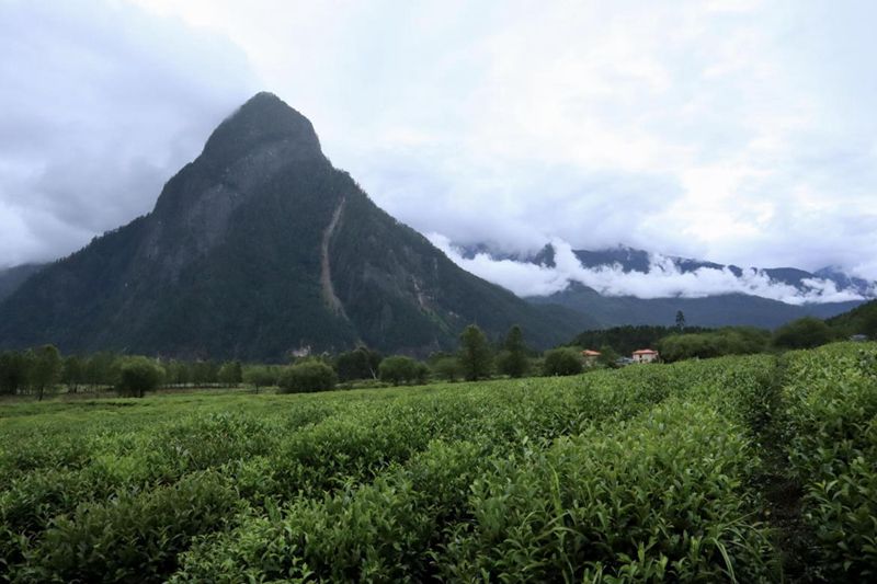 A scenic view of Linzhi Zhamu Zhongxin Xianwei Honglou