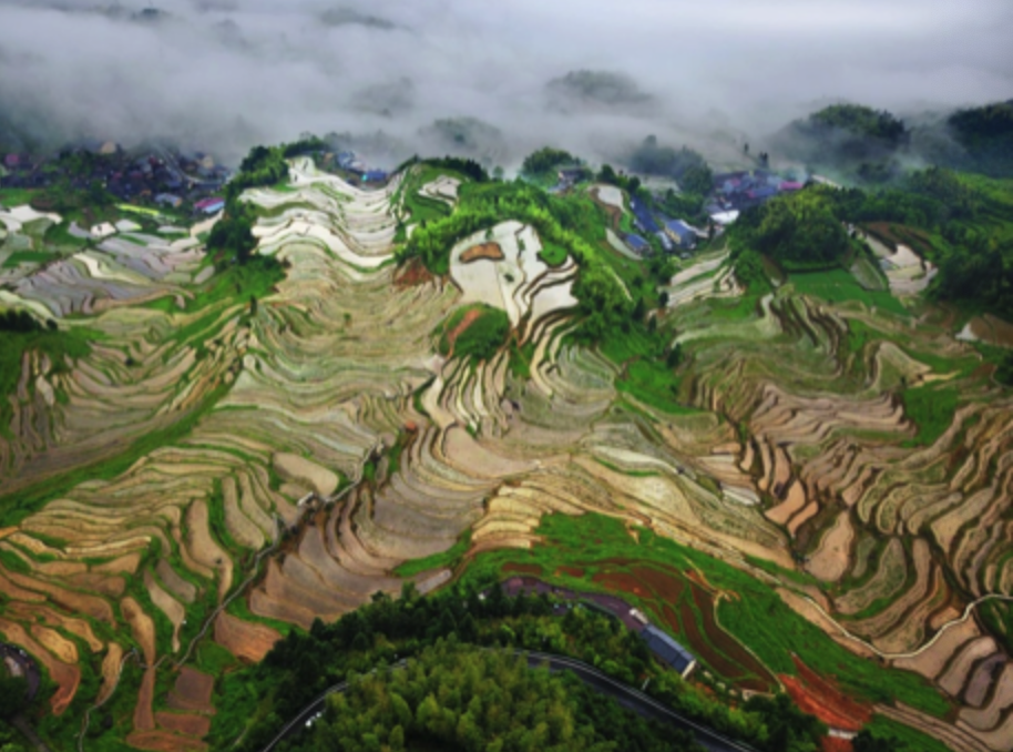 A scenic view of Lishui Yunhe Yinkuang Yizhi