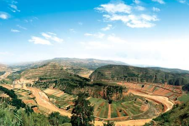 A scenic view of Longnan Dabaozishan Yizhi Ji Muqun