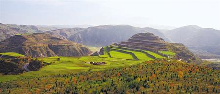 A scenic view of Longnan Dabaozishan Yizhi Ji Muqun