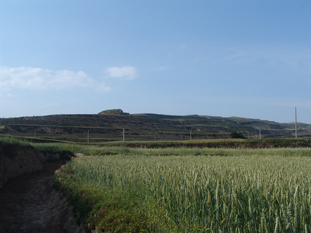 A scenic view of Longnan Dabaozishan Yizhi Ji Muqun