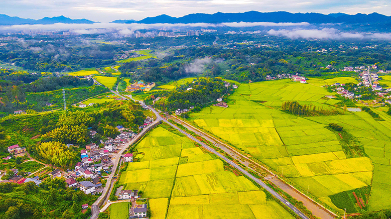 A scenic view of Longnan Fujin Guangyanyuan
