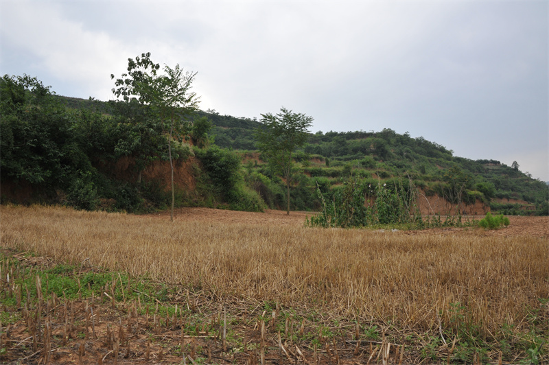 A scenic view of Longnan Wuting Mu