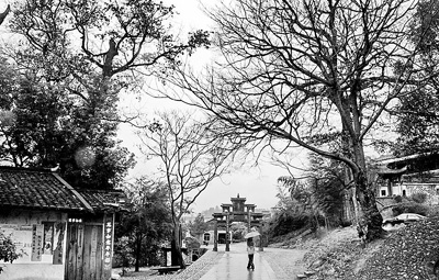 A scenic view of Longyan Maozedong Caixixiang Diaocha Jiuzhiqun
