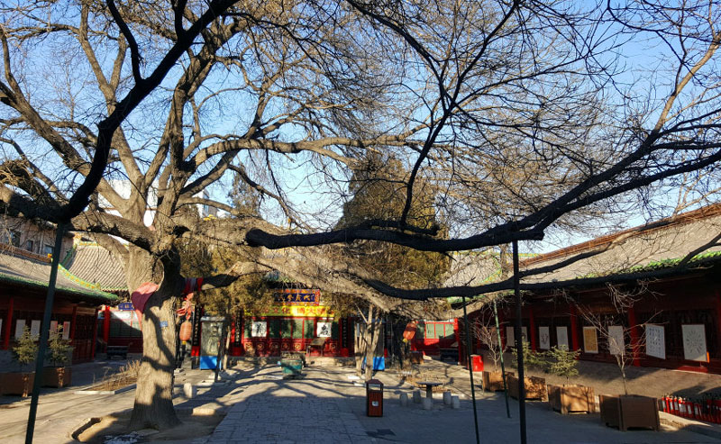 A scenic view of Luliang Fenyang Guandi Temple