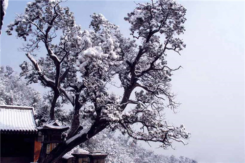 A scenic view of Luliang Guashan Tianning Temple