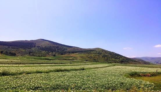 A scenic view of Luliang Tianzhen Guan