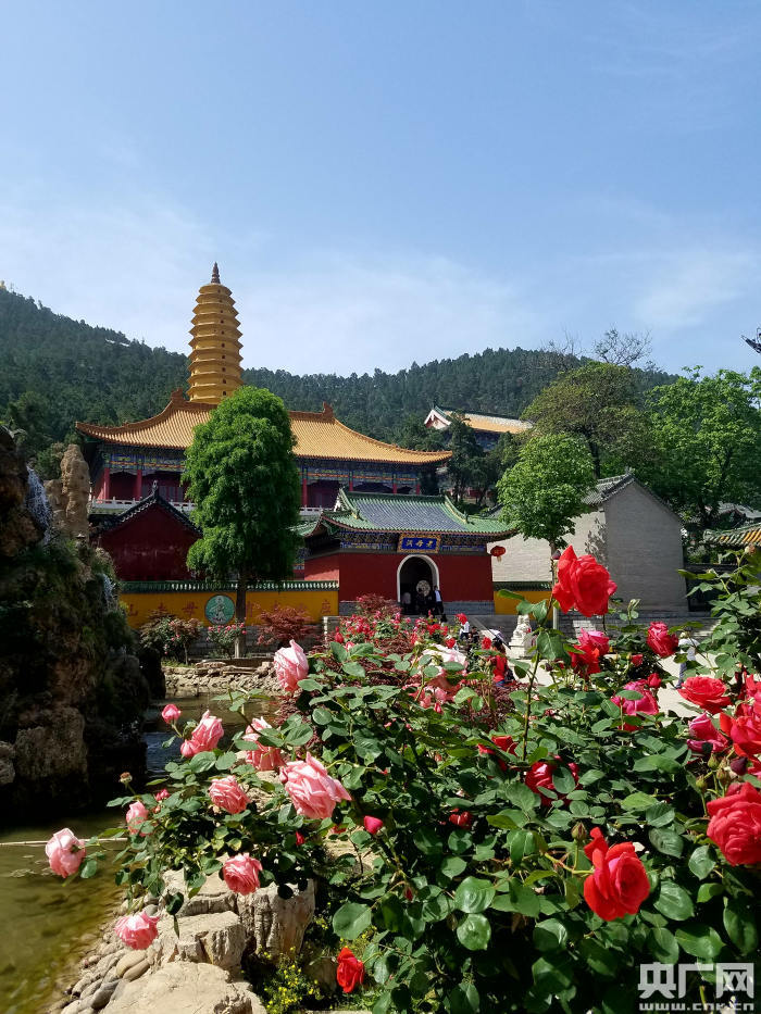 A scenic view of Luoyang Lingshansi