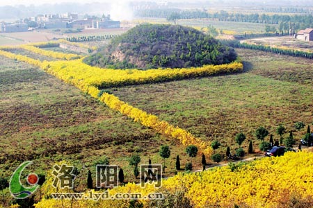 A scenic view of Luoyang Mangshanlingmuqun