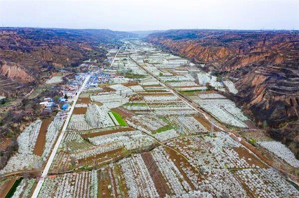 A scenic view of Luoyang Qilipingyizhi
