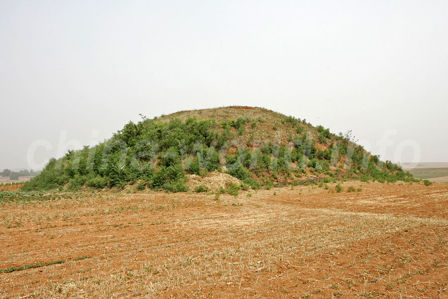 A scenic view of Luoyang Weimingdigaopingling