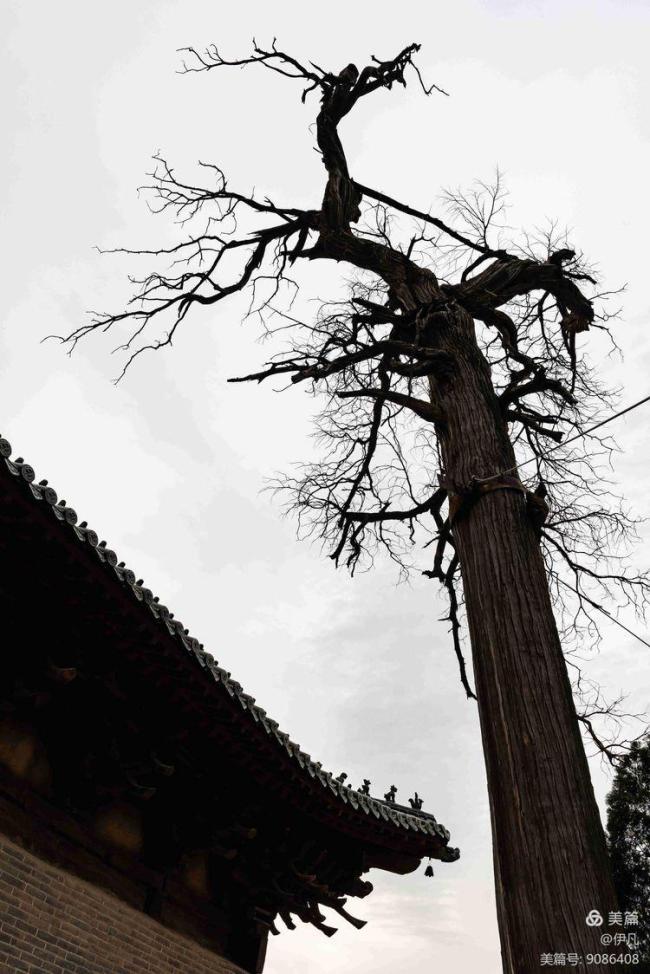 A scenic view of Luoyang Xinangongzhenguan