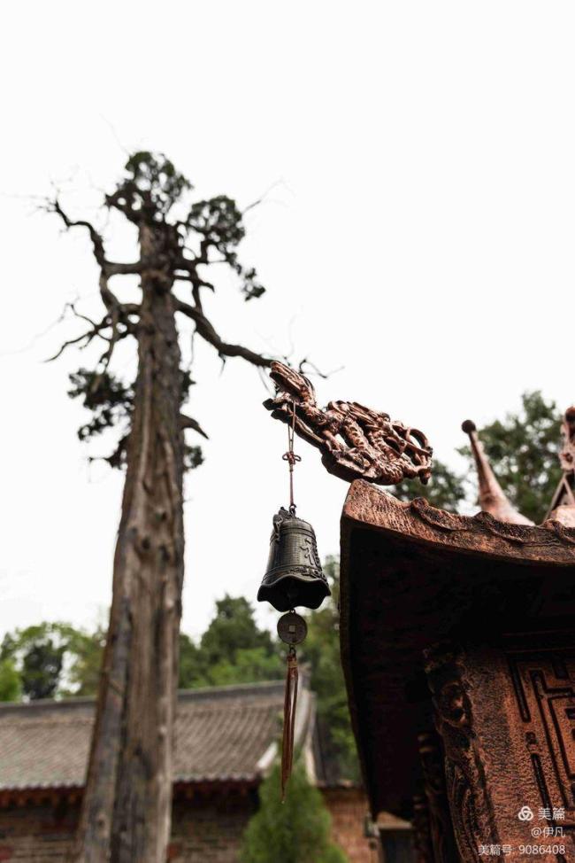 A scenic view of Luoyang Xinangongzhenguan