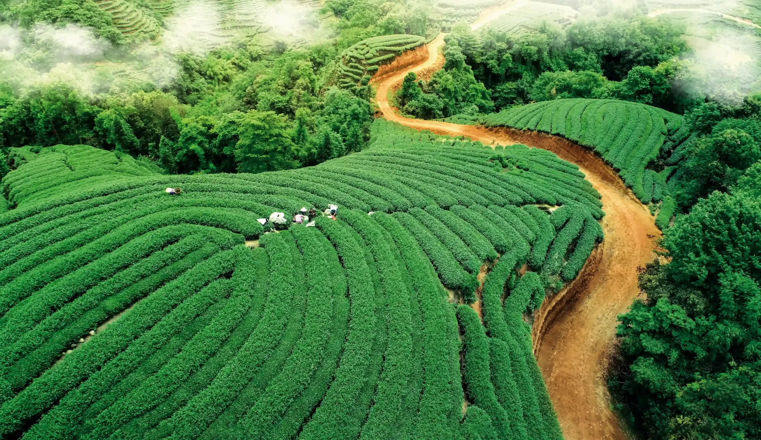 A scenic view of Luzhou Chamagudao