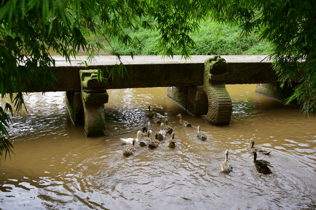 A scenic view of Luzhou Luxian Longqiaoqun