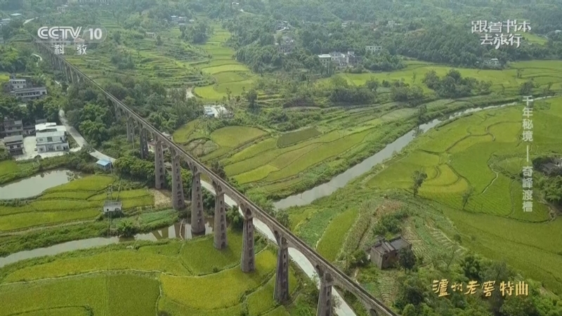 A scenic view of Luzhou Qifeng Ducao
