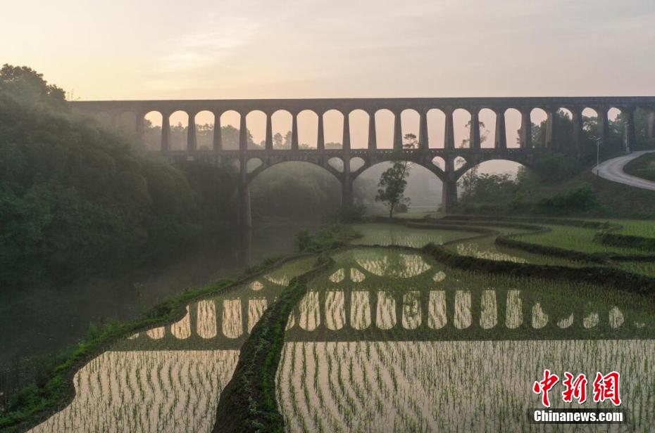 A scenic view of Luzhou Qifeng Ducao