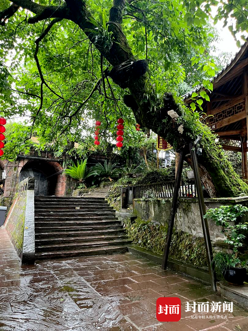 A scenic view of Meishan Zengjiayuan