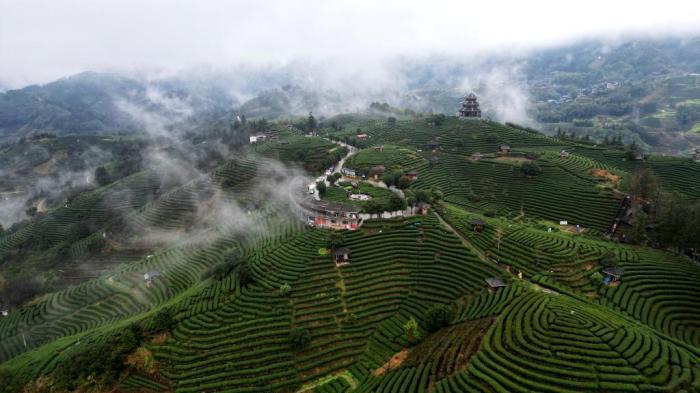 A scenic view of Meishan Zhengshan Liuzui Moya Zaoxiang
