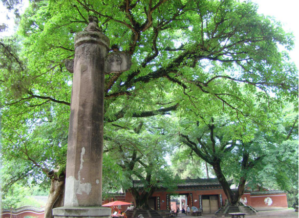 A scenic view of Mianyang Yuntaiguan