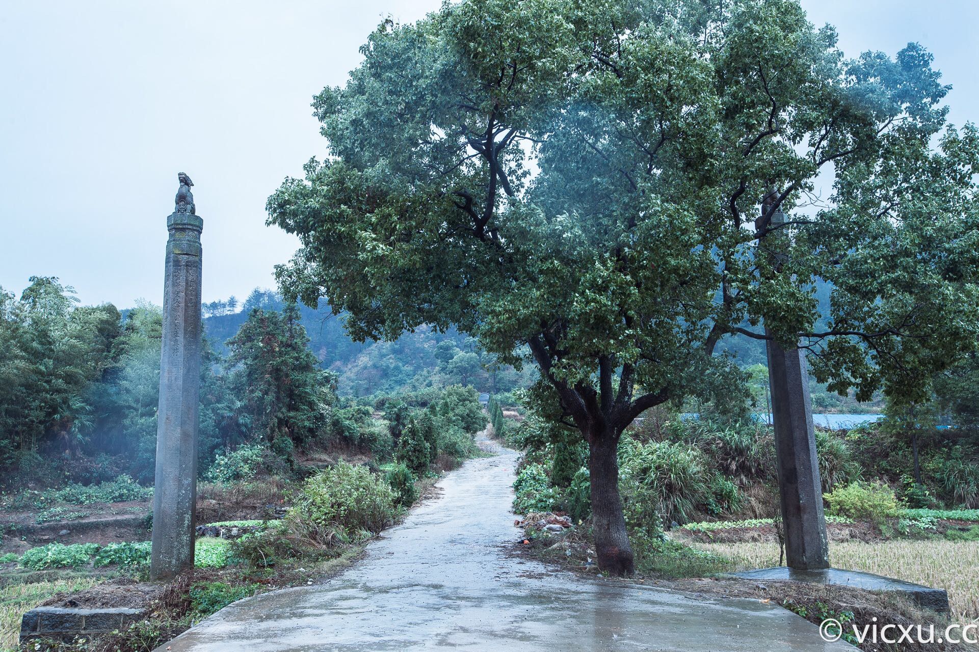 A scenic view of Nanchang Zhuquanmu Leanwangmu