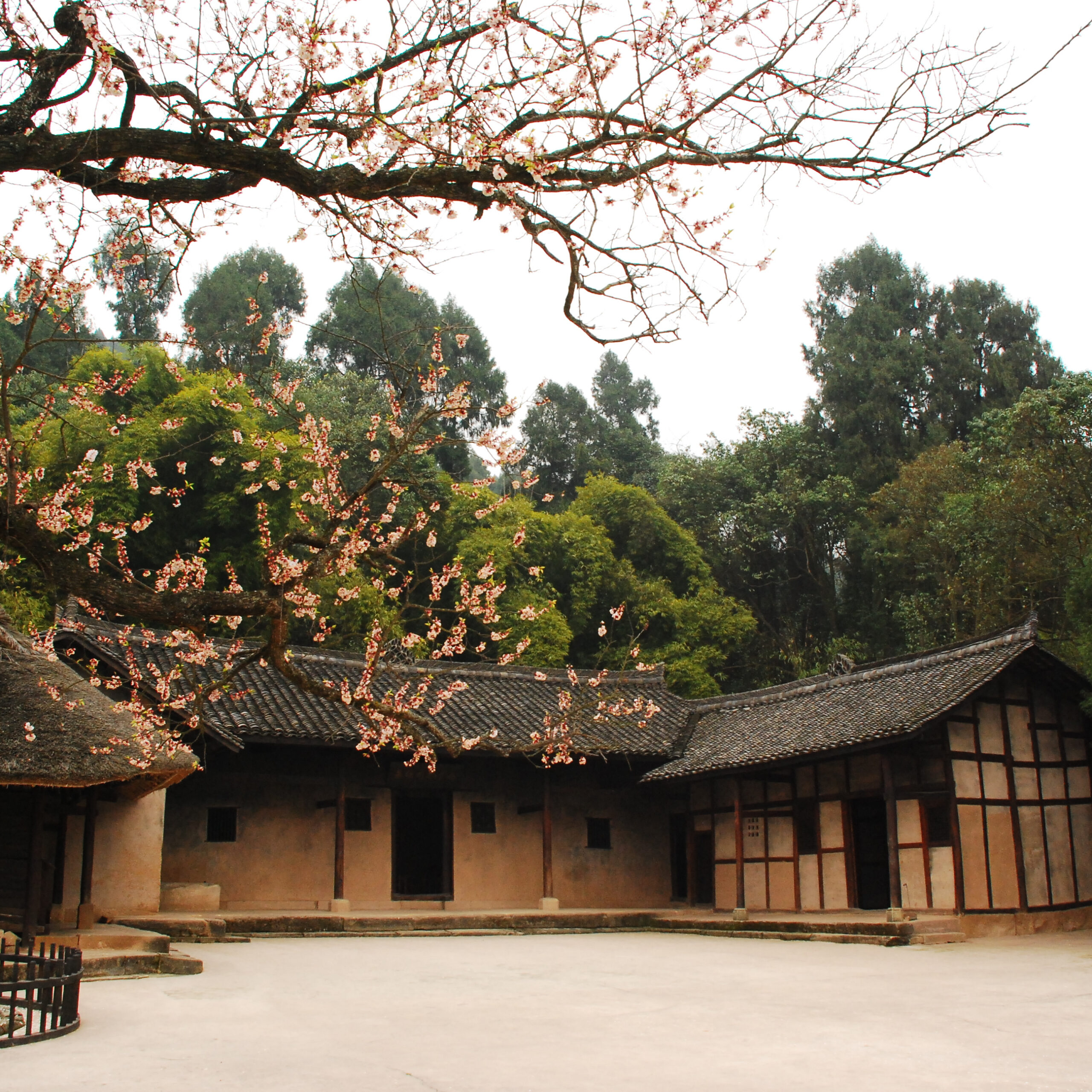 A scenic view of Nanchong Zhude Guju
