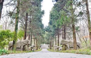 A scenic view of Nanjing Boniguo Wangmu