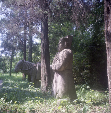 A scenic view of Nanjing Boniguo Wangmu