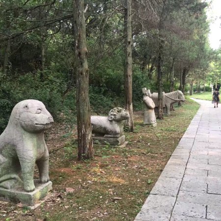 A scenic view of Nanjing Boniguo Wangmu