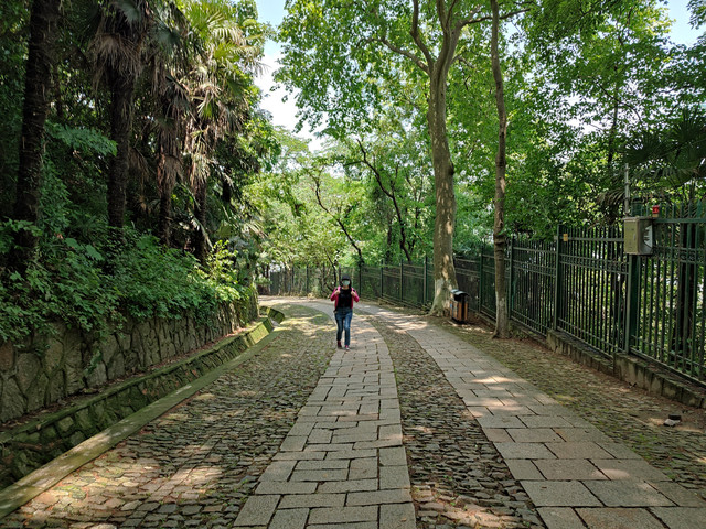 A scenic view of Nanjing Guoli Zijinshan Tianwentai Jiuzhi