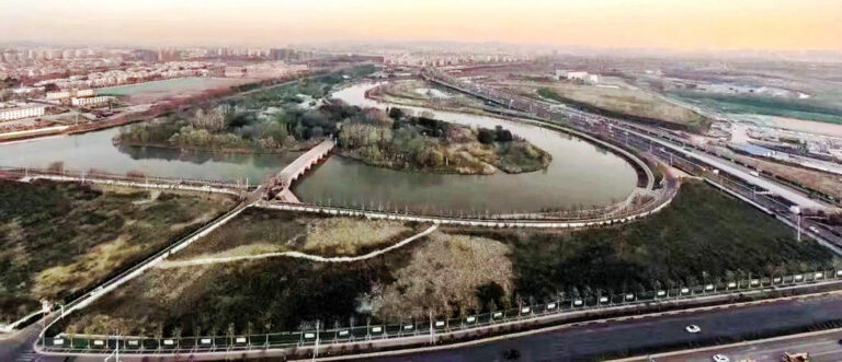 Top 5 Reasons to Visit Nanjing Qiqiaoweng on Your Next Trip to Nanjing