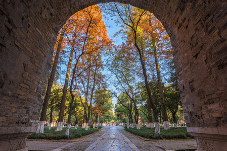 A scenic view of Nanjing Xuecheng Yizhi