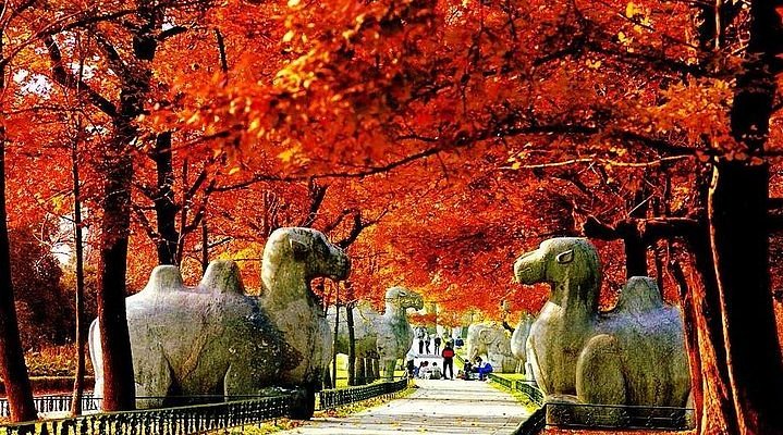 A scenic view of Nanjing Yuan Guominzhengfu Jiuzhi
