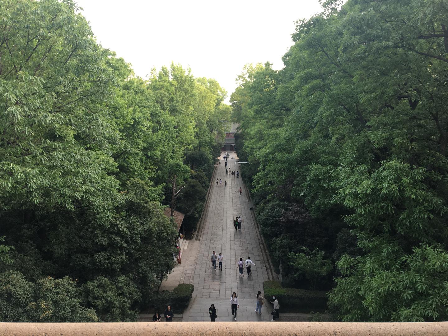 A scenic view of Nanjing Zhongshanling