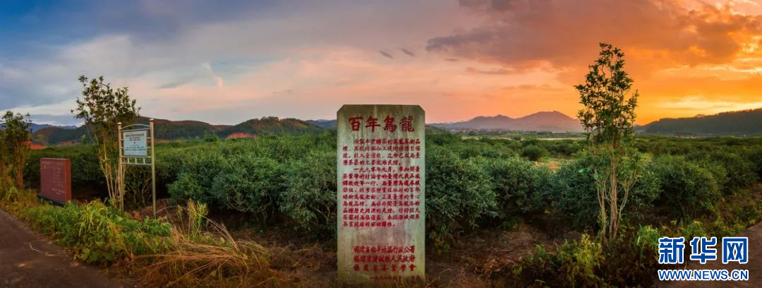 A scenic view of Nanping Beiyuan Yubei Yizhi