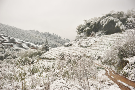 A scenic view of Nanping Beiyuan Yubei Yizhi