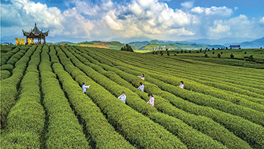 A scenic view of Nanping Beiyuan Yubei Yizhi
