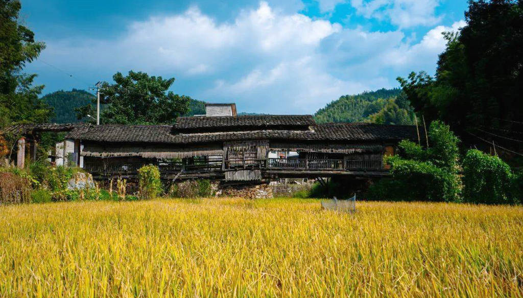 A scenic view of Nanping Jianou Zhiqingqiao