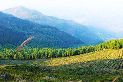 A scenic view of Nanping Maoershan Yizhi