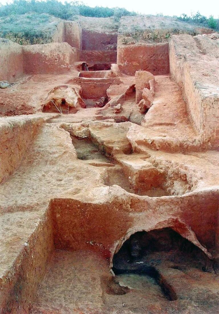 Nature’s Masterpiece: Discovering the Beauty of Nanping Maoershan Yizhi