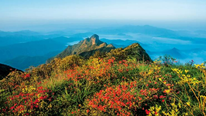 A scenic view of Nanping Wuyishan Min Gan Guyidao