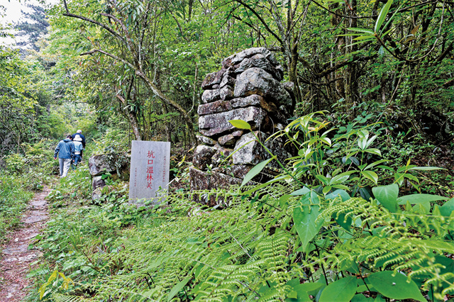 A scenic view of Nanping Wuyishan Min Gan Guyidao