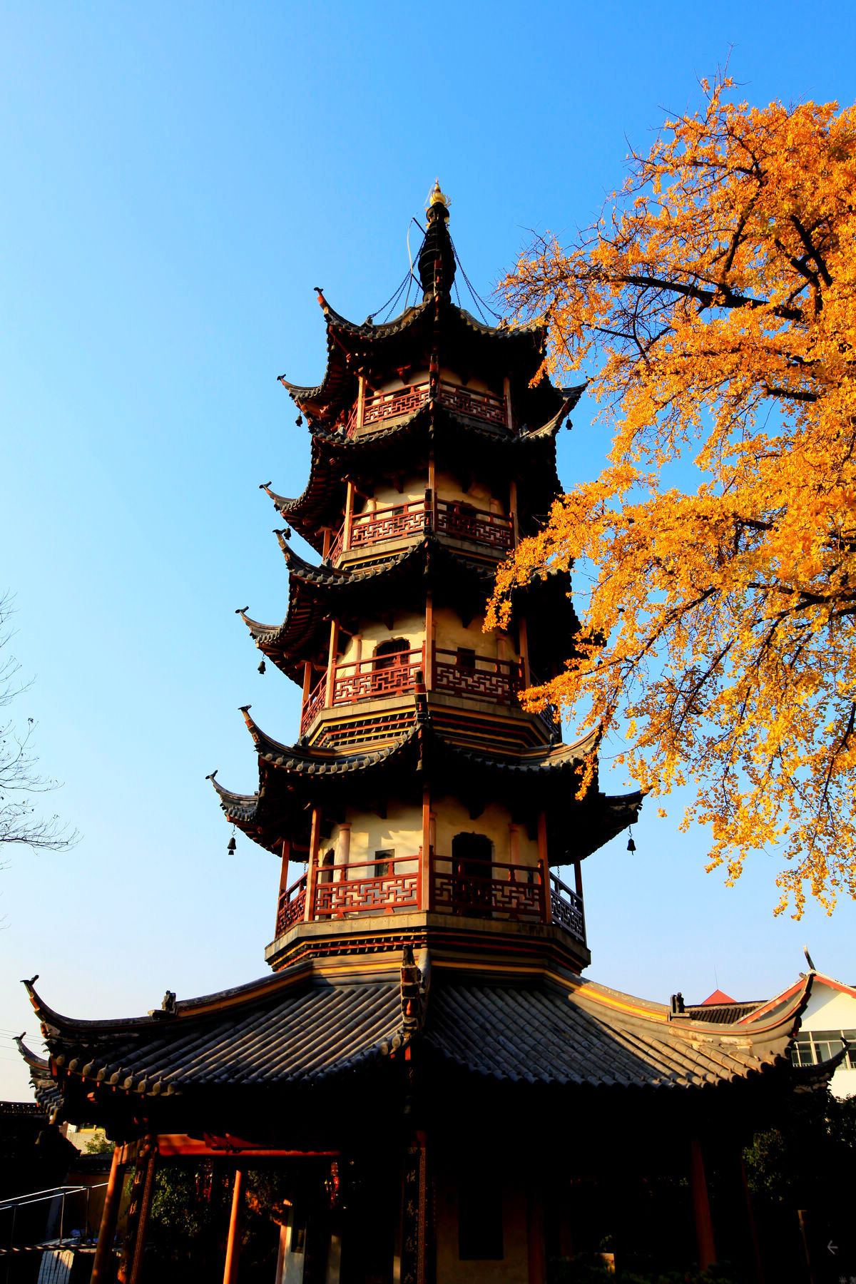 A scenic view of Nantong Tianningsi
