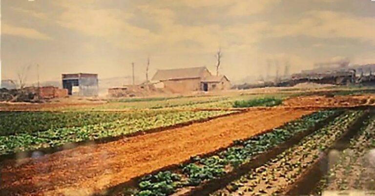 Nanyang Wafangzhuangyetieyizhi: Discover the Cultural Treasures of Henan